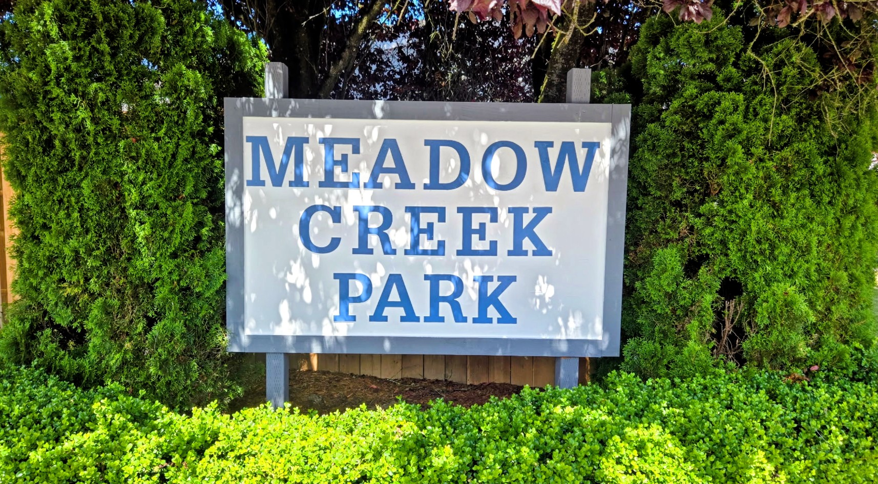 Community image