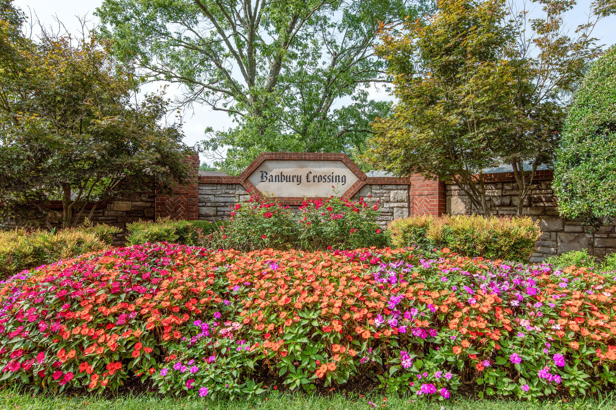 Community image